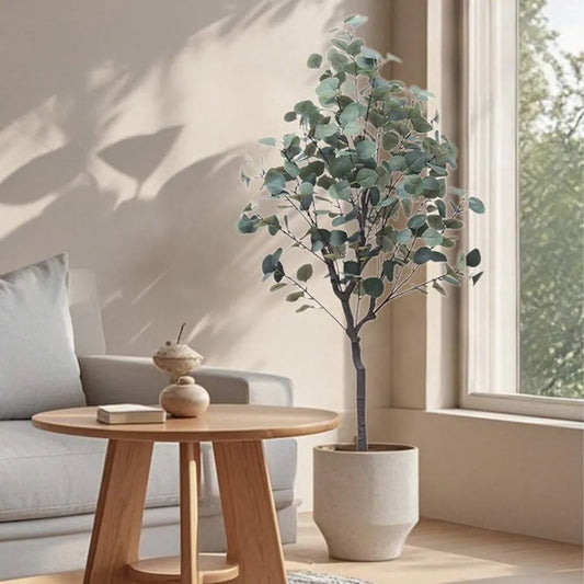 Large Eucalyptus Tree