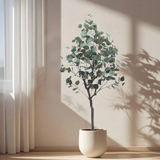 Large Eucalyptus Tree
