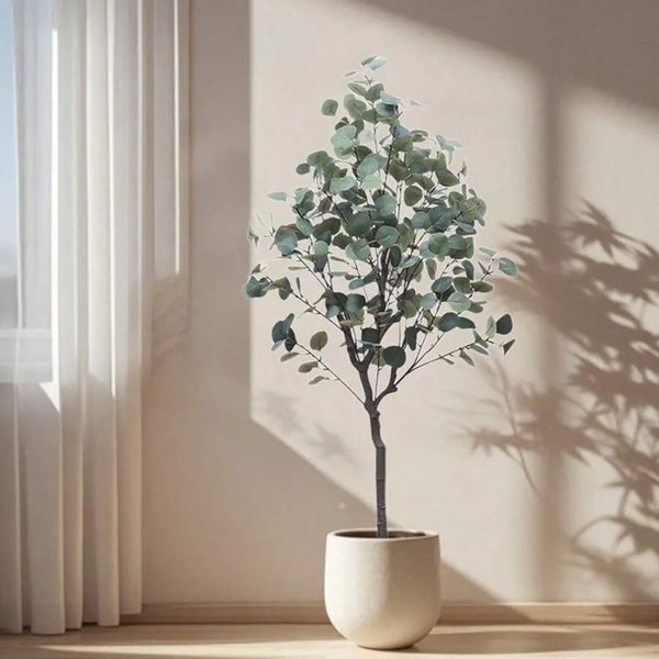 Large Eucalyptus Tree