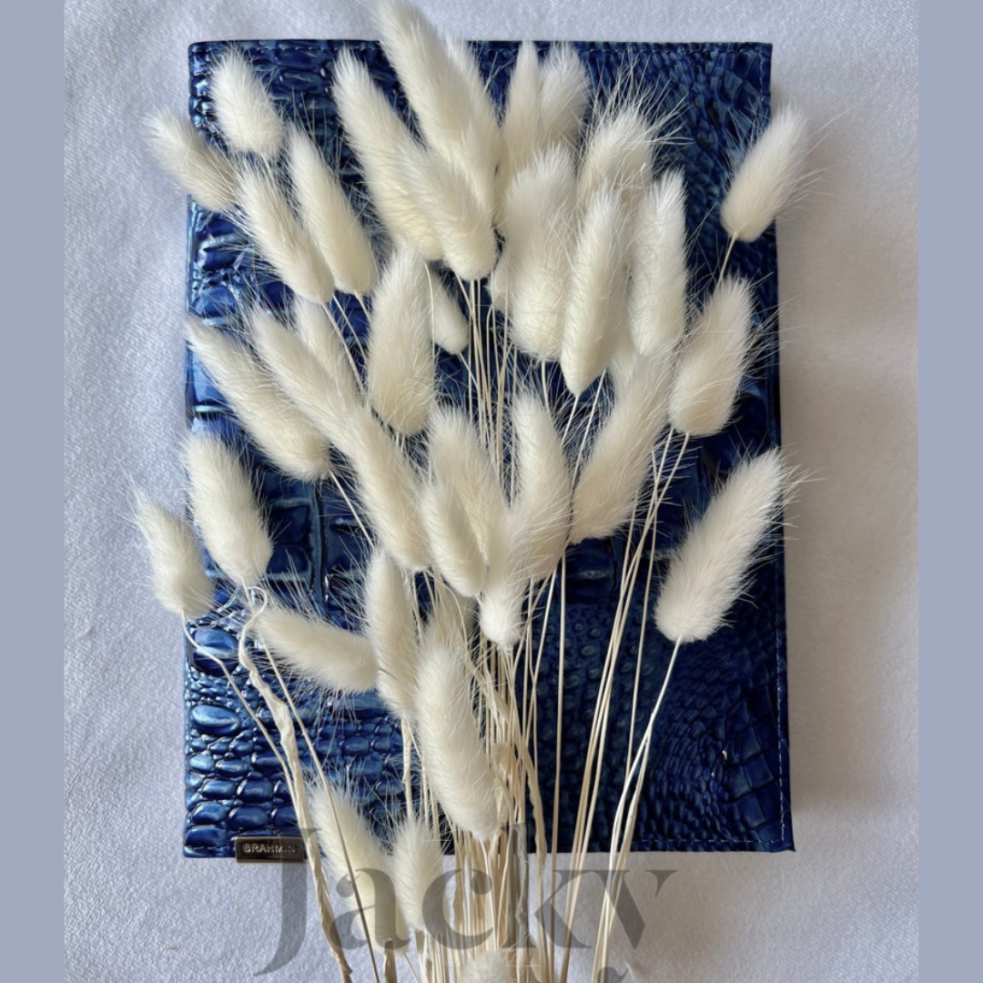 Bunny Tails | Rabbit Tails | Dried Flowers
