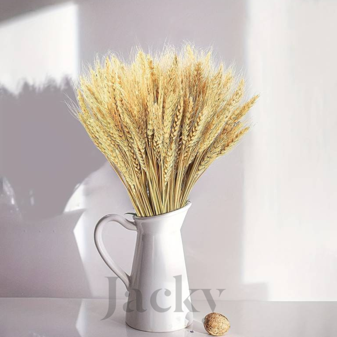 Stem wheat/natural wheat