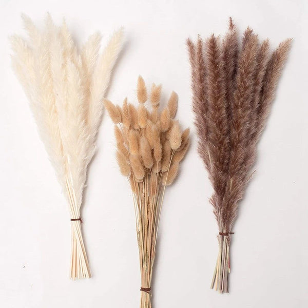 Bundle Dried Flowers (70pcs)
