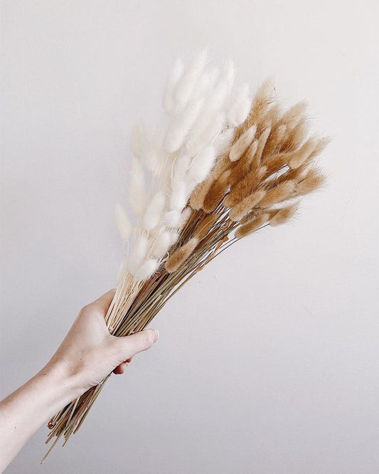 Bundle Dried Flowers (70pcs)