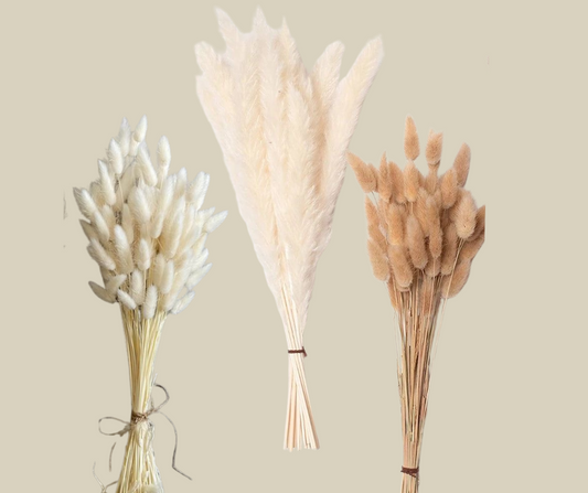 Bundle Dried Flowers (70pcs)