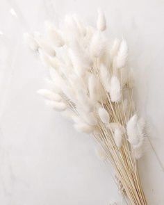 Bundle Dried Flowers (70pcs)