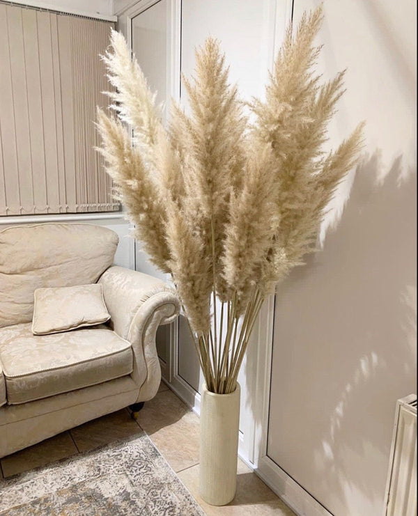 Usa Large Pampas